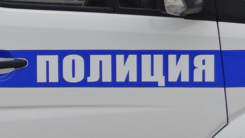 В Троицком районе сотрудники полиции задержали приятелей лесорубов
